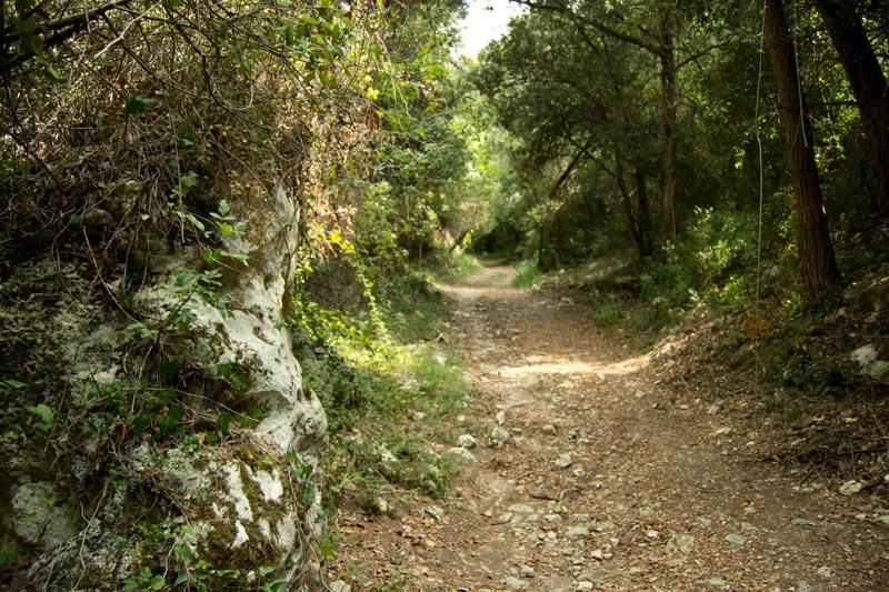 Enoturisme 8